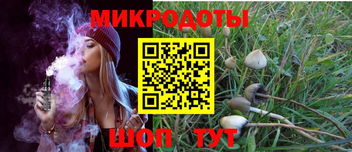 Железногорск  закладка  Вход с VPN  Галлюциногенные грибы мицелий 